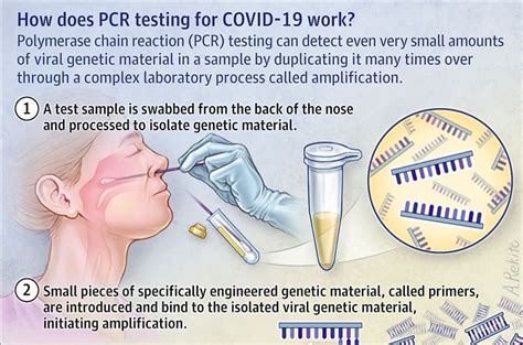 dropping pcr test|cdc pcr test recall.